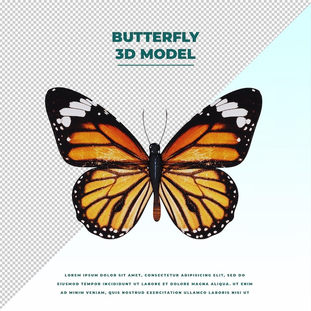 PSD butterfly