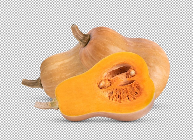 Butternut isolated on alpha layer