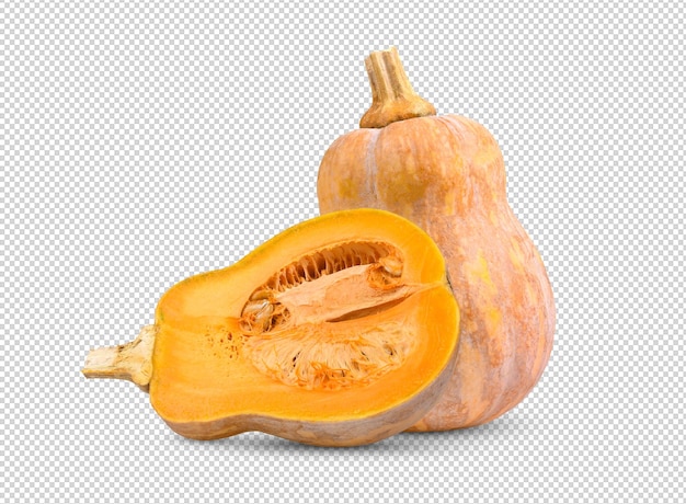 Zucca butternut isolata su strato alfa