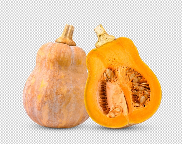 Zucca butternut isolata su strato alfa