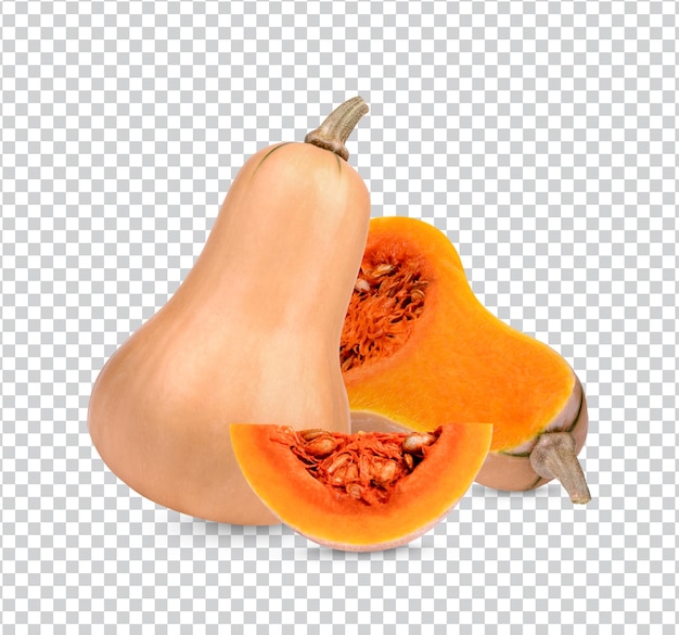버터넛 스쿼시 절연 프리미엄 PSD