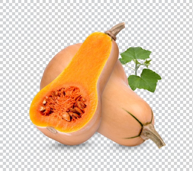 Butternut squash with leaves isolated