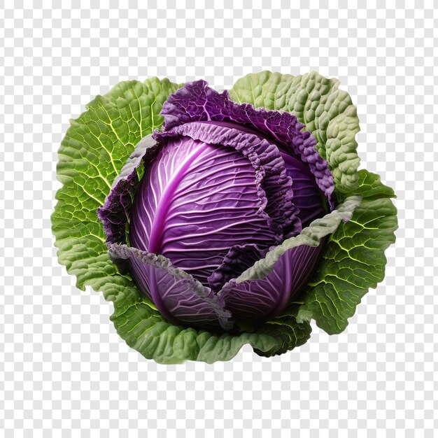 PSD cabbage isolated on transparent background