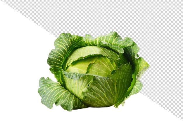 PSD cabbage png