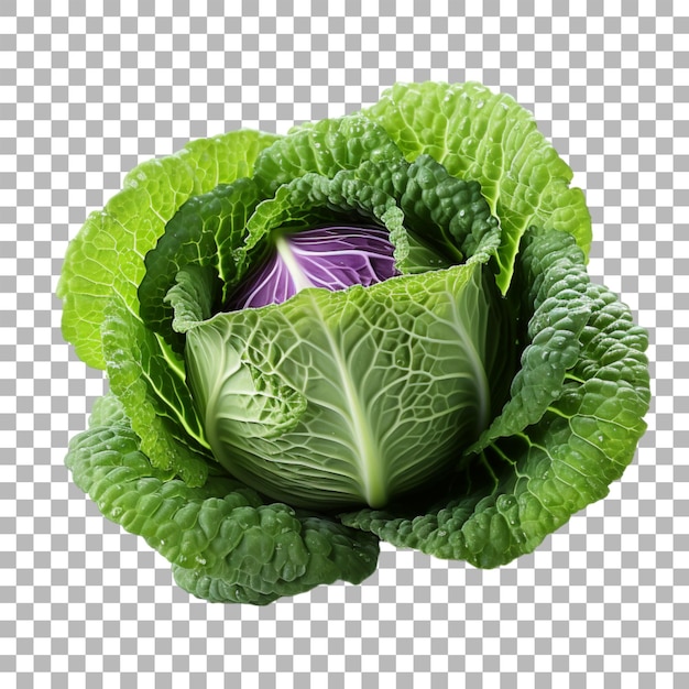 PSD cabbage on transparent background