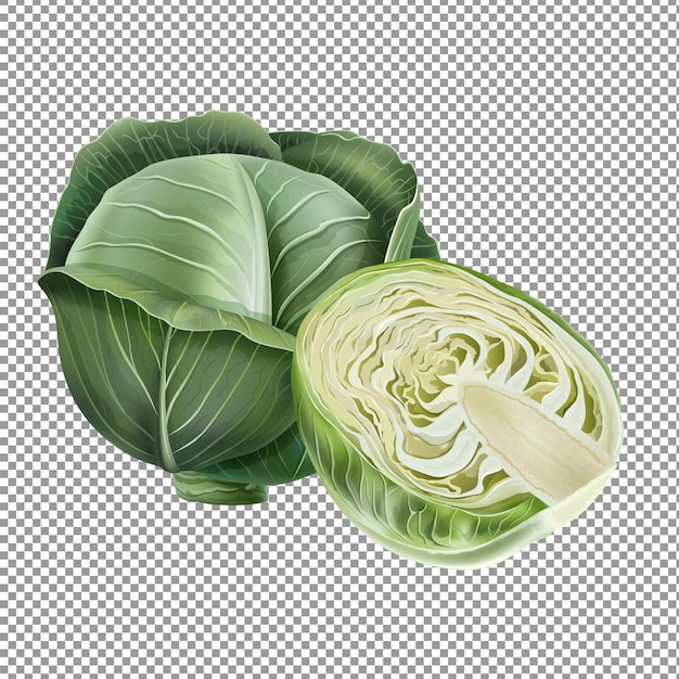 cabbage with half slice isolated on transparent background