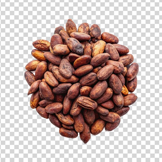 Cacao bob isolated on transparent background