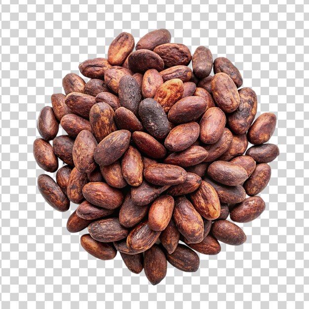 Cacao bob isolated on transparent background