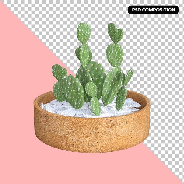 Cactus 3d-rendering illustratie