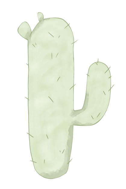 Cactus asymmetrical green high watercolor digital style illustration color childrens light