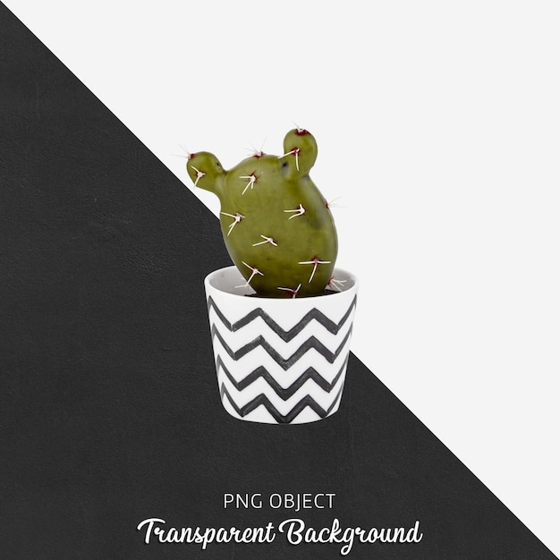 PSD cactus in flowerpot on transparent