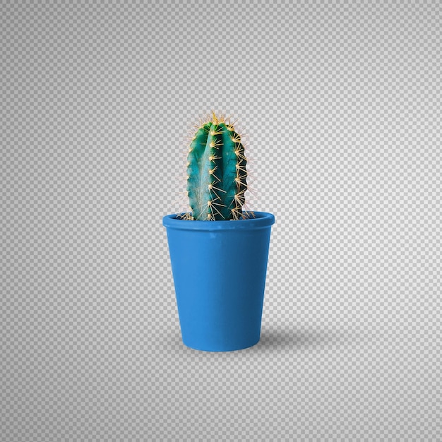 Cactus mockup element isolated,
PSD cactus