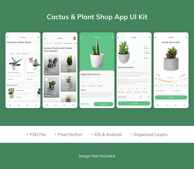 PSD kit ui per l'app del negozio di piante di cactus