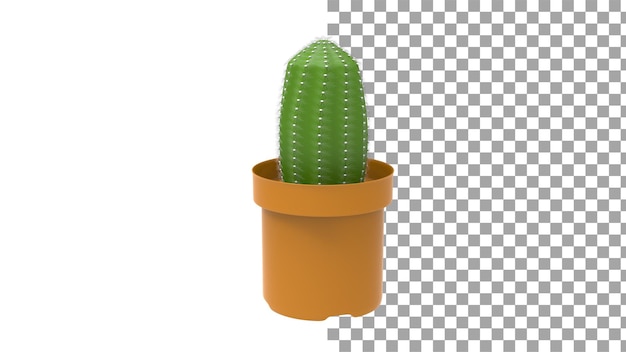 Pianta di cactus senza ombra rendering 3d