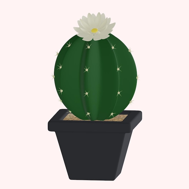 A cactus in a pot with a flower on it