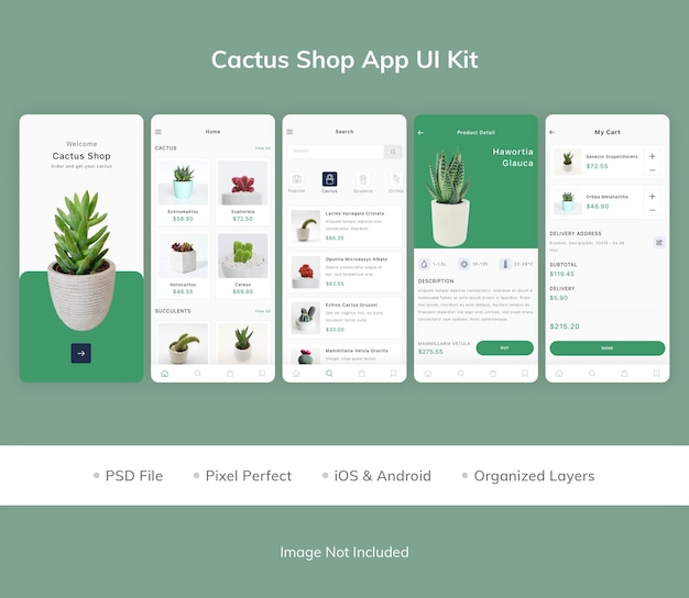 Kit interfaccia utente dell'app cactus shop