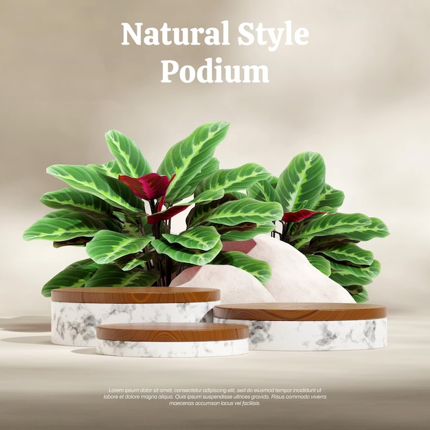 Rendering di piante calathea e pareti bianche 3d mockup vuoto podio con texture in legno e marmo in quadrato