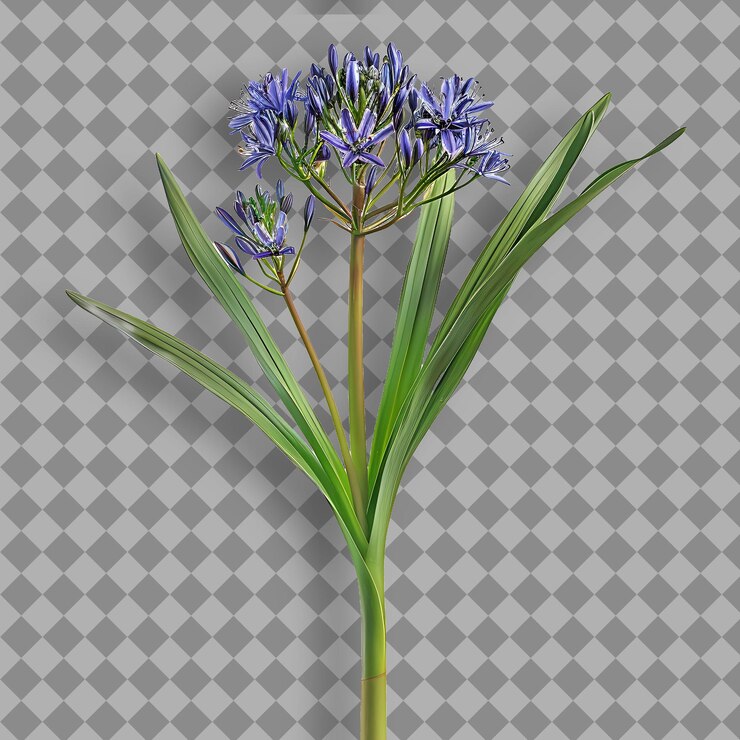 PSD camas branch a cluster of long and narrow leaves that are bo isolated tree branch on clean bg