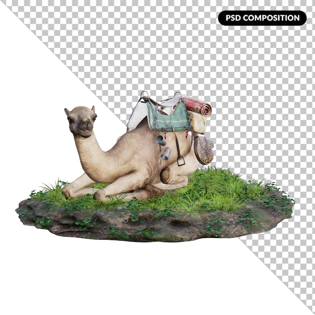 Camel isolated 3d