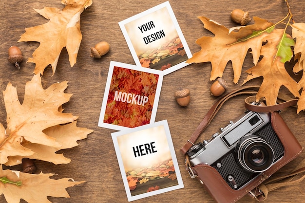 PSD camera and photos with autumn leaves