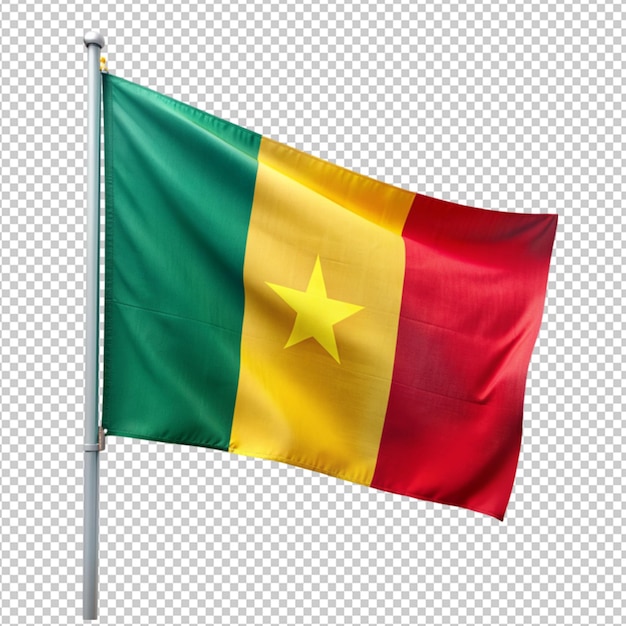 PSD cameroon flag on transparent background