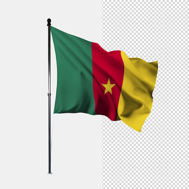 PSD cameroon flag