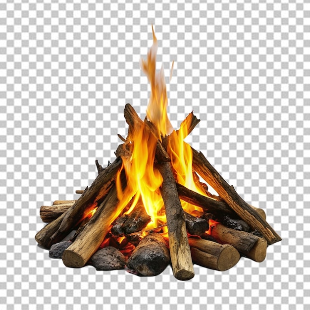 PSD campfire on a white background