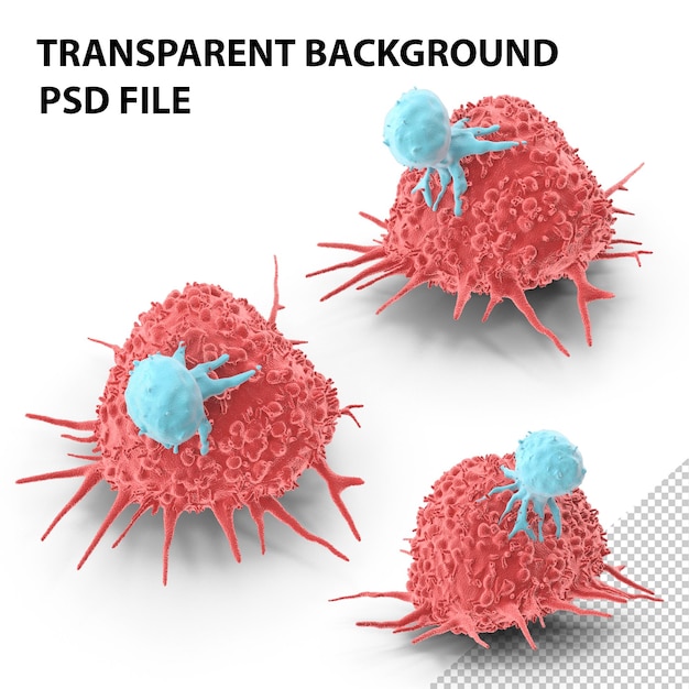 PSD cancer with t cell png