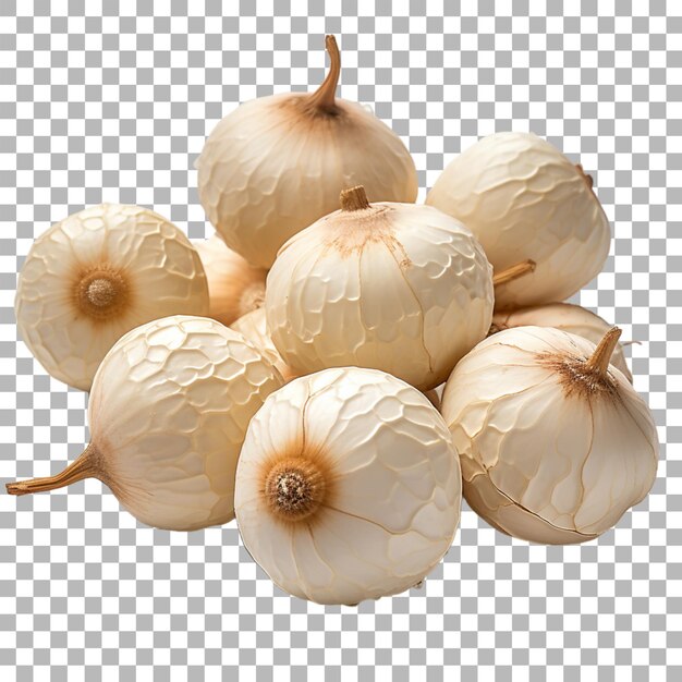 Candlenut on transparent background