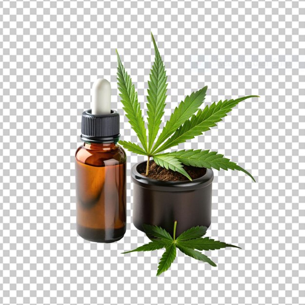 PSD estratti di olio di cannabis in barattoli e foglie verdi di cannabis png