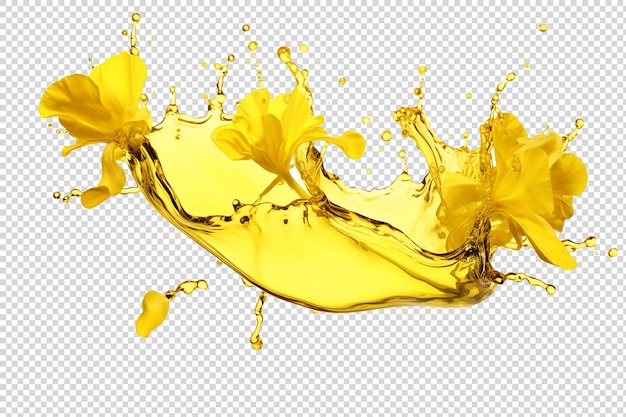 Canola oil splash on transparent background