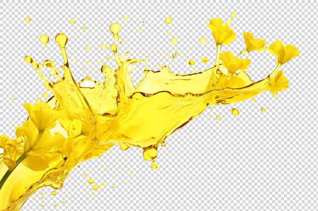 canola oil splash on transparent background