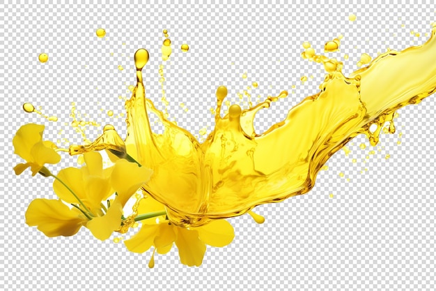 PSD canola oil splash on transparent background