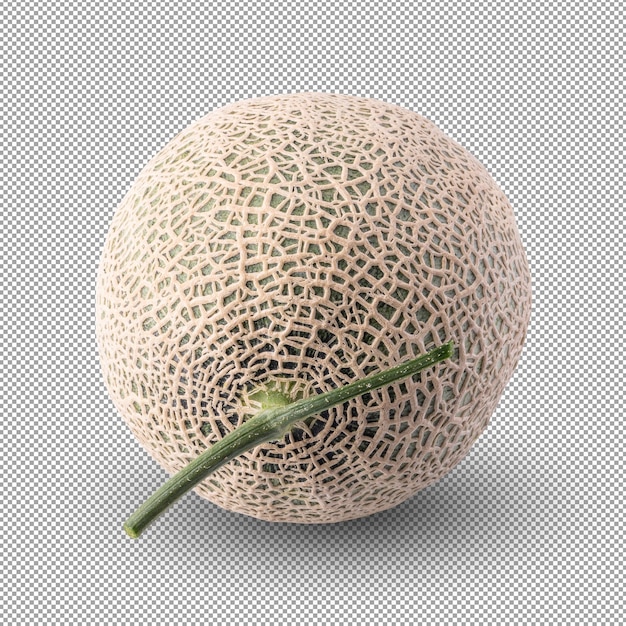 Melone cantalupo isolato su sfondo alfaxa