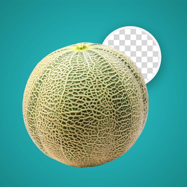 PSD cantaloupe melon