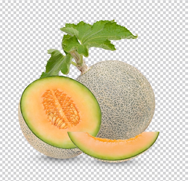 PSD cantaloupe with separate leaves isolated