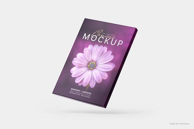 PSD canvas mockupxa