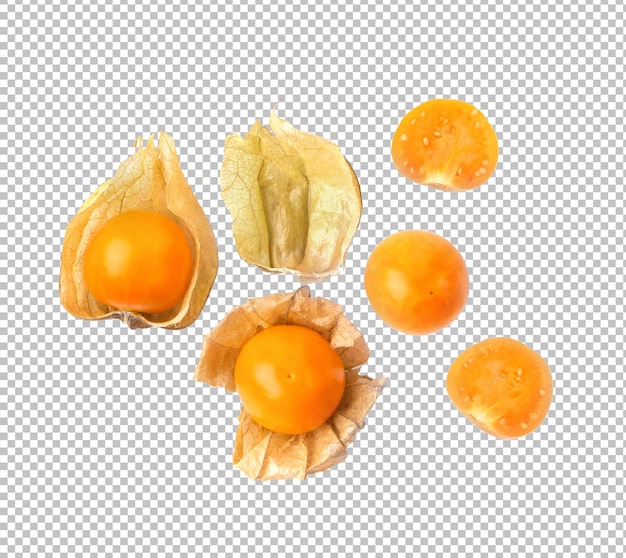 Cape Gooseberry isolated on alpha layer