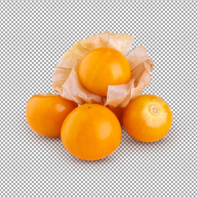 PSD cape gooseberry physalis isolated on alpha background