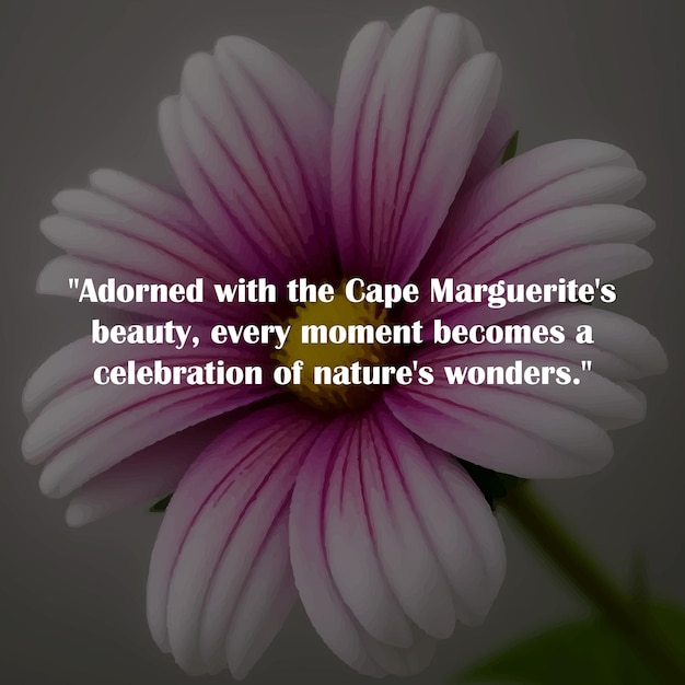 PSD cape marguerite flower with caption