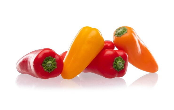 capsicum