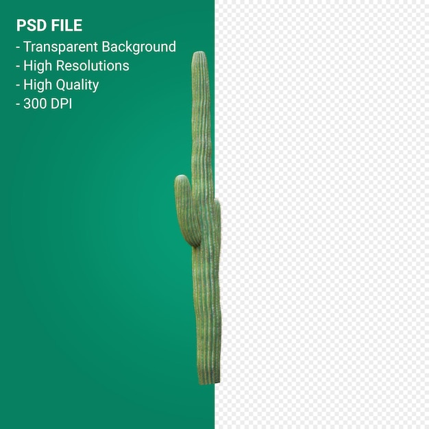 PSD carnegiea gigantea 3d render geïsoleerd