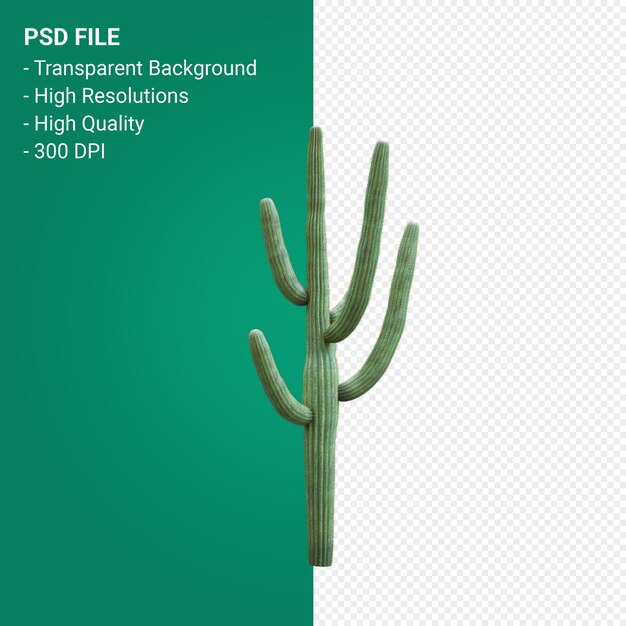 PSD carnegiea gigantea 3d render geïsoleerd