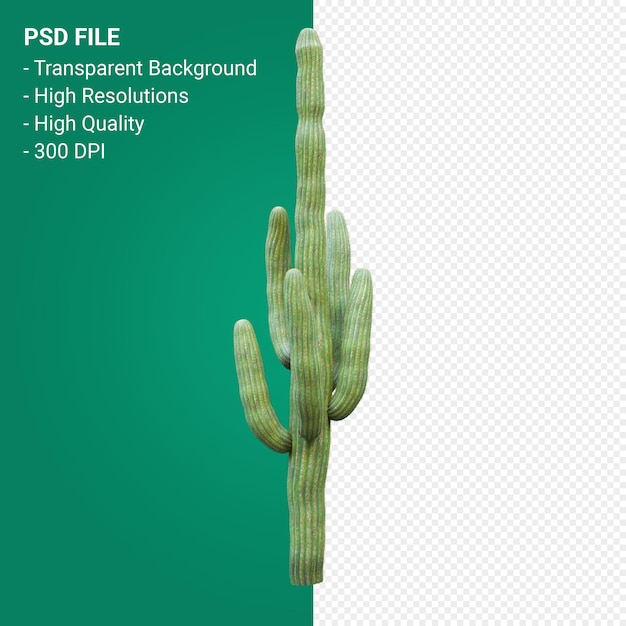 PSD 투명 한 배경에 고립 된 carnegiea gigantea 3d 렌더링