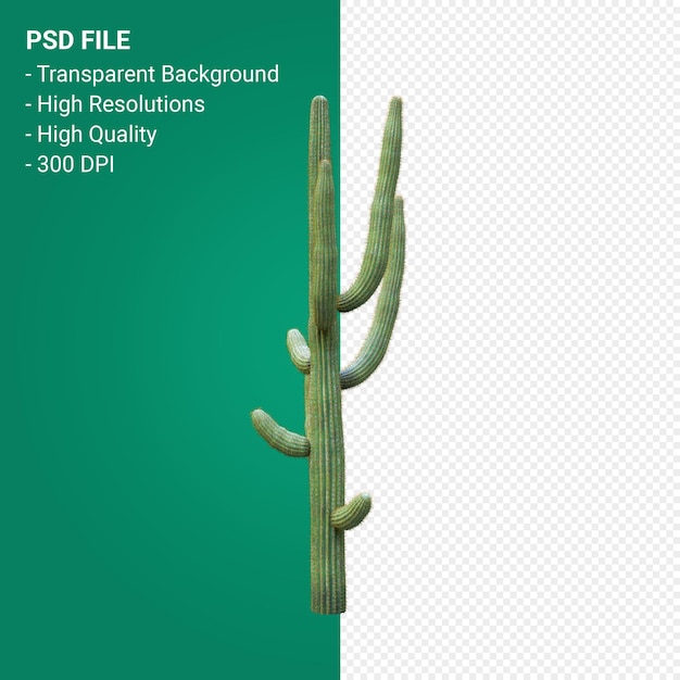 PSD carnegiea gigantea 3d render isolated on transparent background