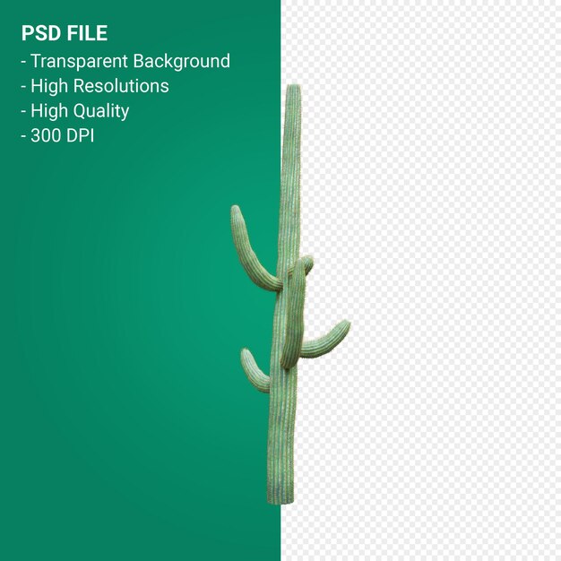 PSD carnegiea gigantea 3d render isolated