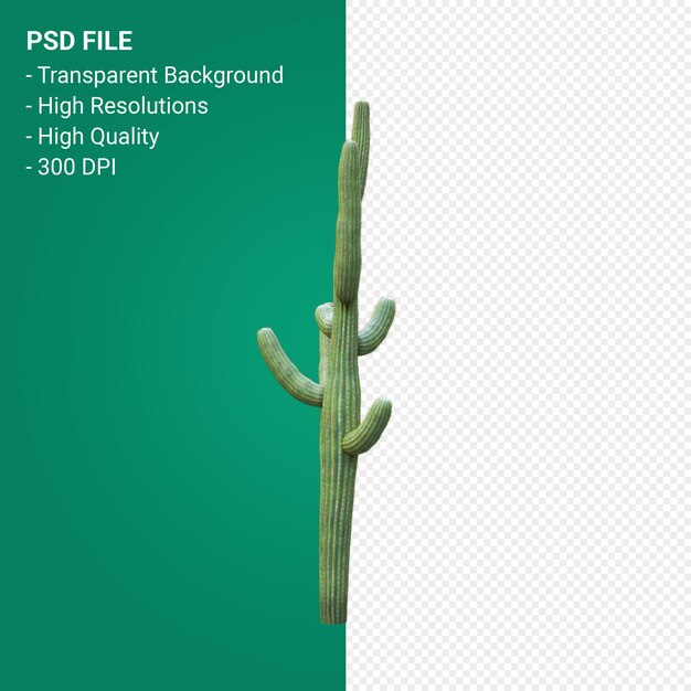 PSD carnegiea gigantea 3d 렌더링 절연