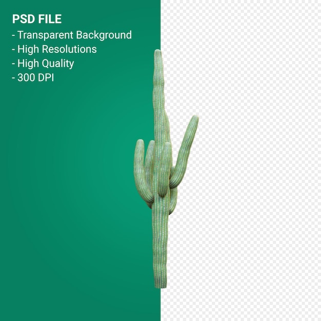 PSD carnegiea gigantea 3d render isolated