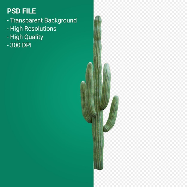 PSD carnegiea gigantea 3d render isolated