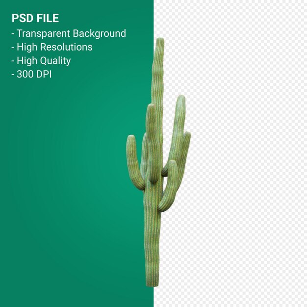 PSD carnegiea gigantea 3d render isolated